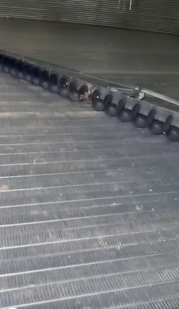 Heavy Conveyors for Silo & Mega Industry