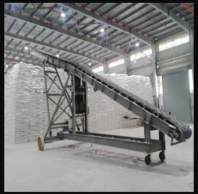 Customized Loading, Unloading & Transfer Conveyors — view 3 of 3
